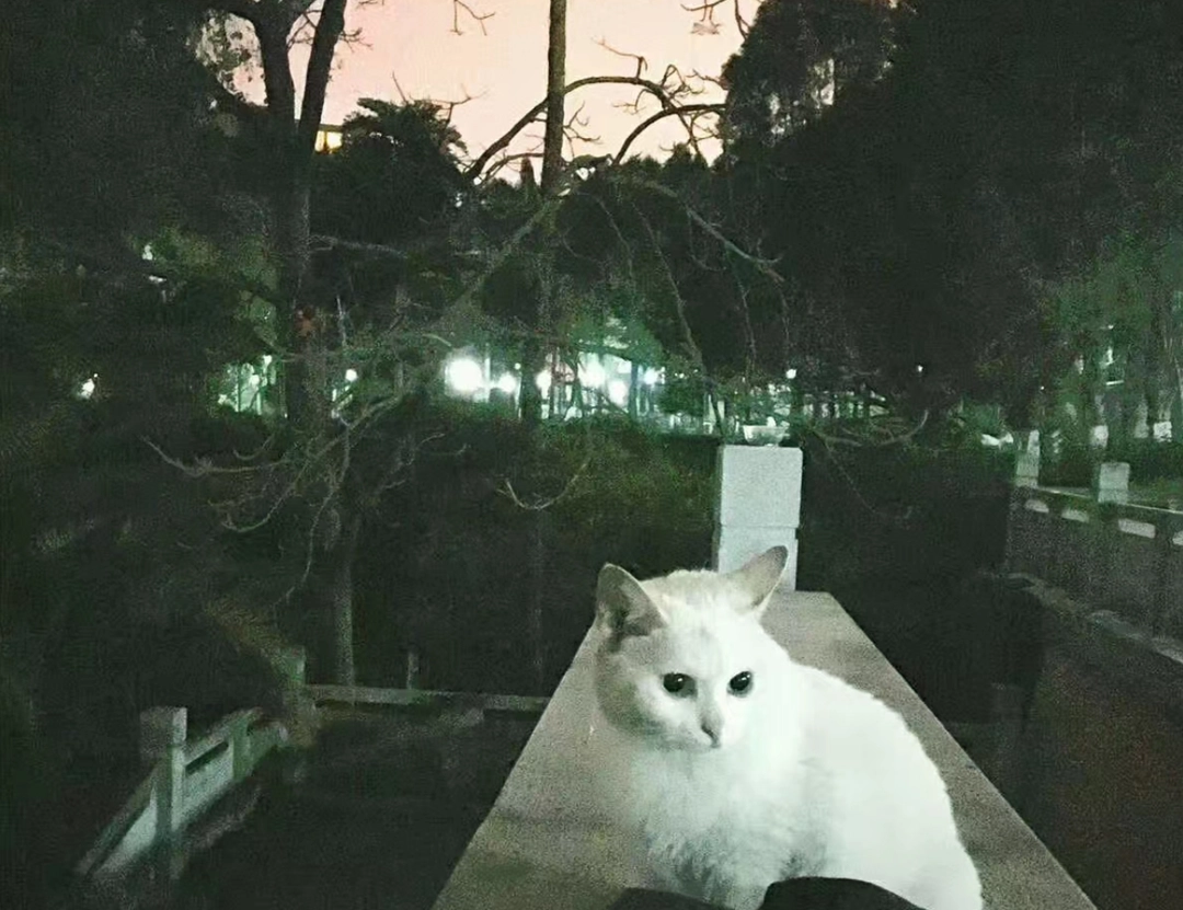 夏天就要到来