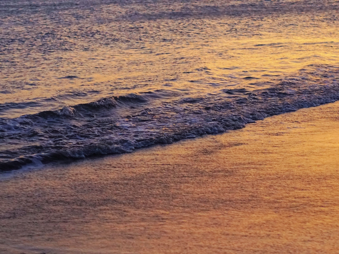 二十六岁的月光