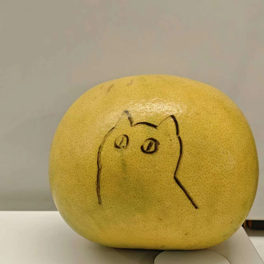 大雪去信
